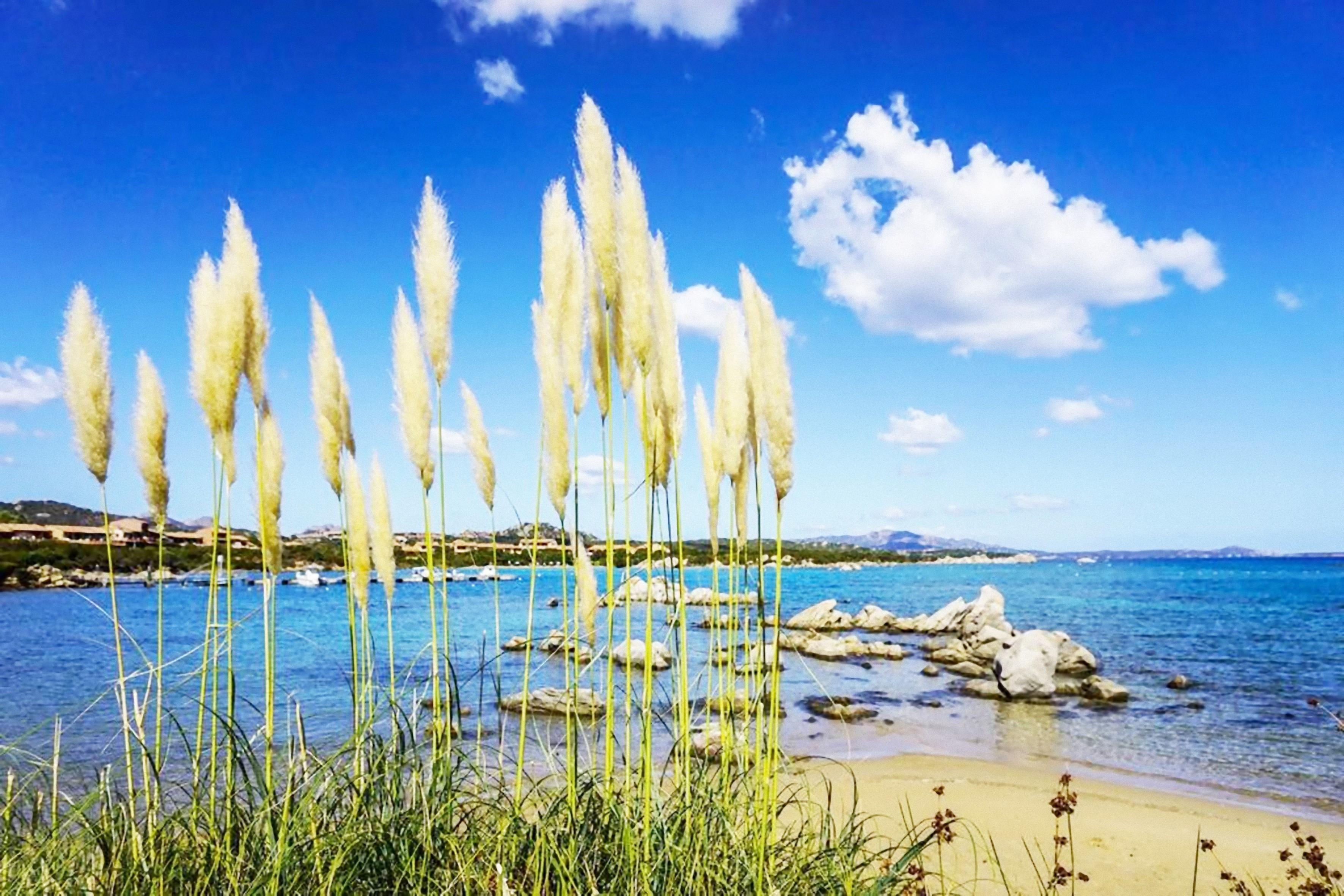 Baia De Bahas - Apartments & Resort Marinella  Ngoại thất bức ảnh